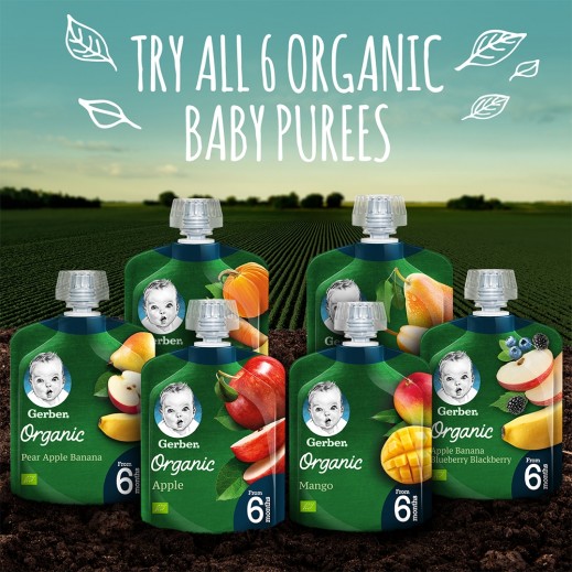Buy Gerber Organic Pear Puree Baby Food 90 g (From 6 Months) توصيل