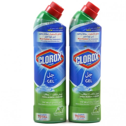 Buy Clorox Gel Thick Bleach + Cleaner with Mint Freshness 750 ml (1+1