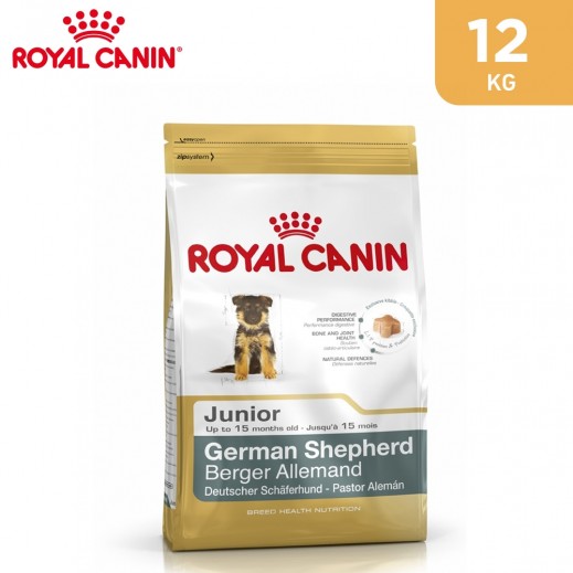 german shepherd junior