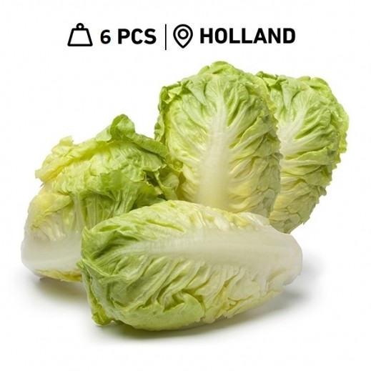 Buy Fresh Dutch Small Round Lettuce (6 Pieces) توصيل