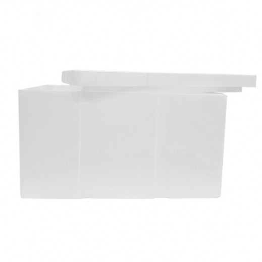 Buy Kuwait Polymer Rectangle Styrofoam Ice Box 41 x 22 x 18.5 cm توصيل