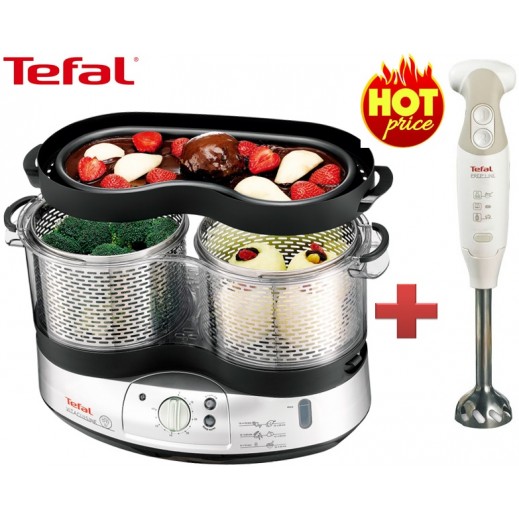 Tefal Vita Cuisine Steam Cooker 2000w Prepline 700w Hand Blender Bundle Offer توصيل Taw9eel Com