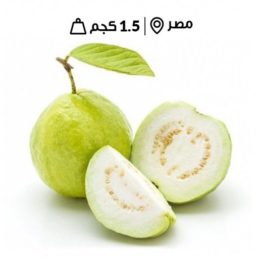 اشتري جوافة مصري طازجة 1 كجم تقريبا توصيل Taw9eel Com